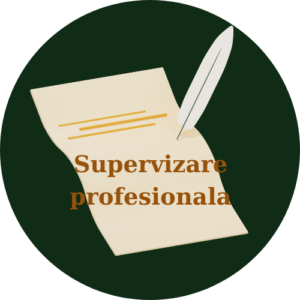 Supervizare profesionala (1 luna)