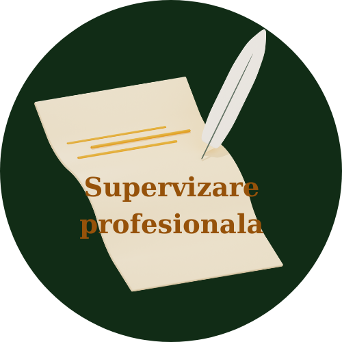 Supervizare profesionala (1 luna)